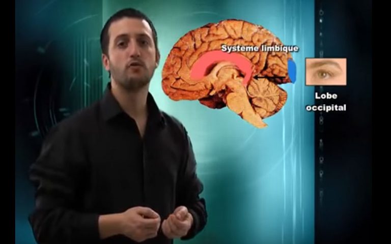 [VIDEO] Explications scientifiques du Fonctionnement du stress