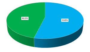 Composition du groupe (nombre de participants, niveaux homogènes)