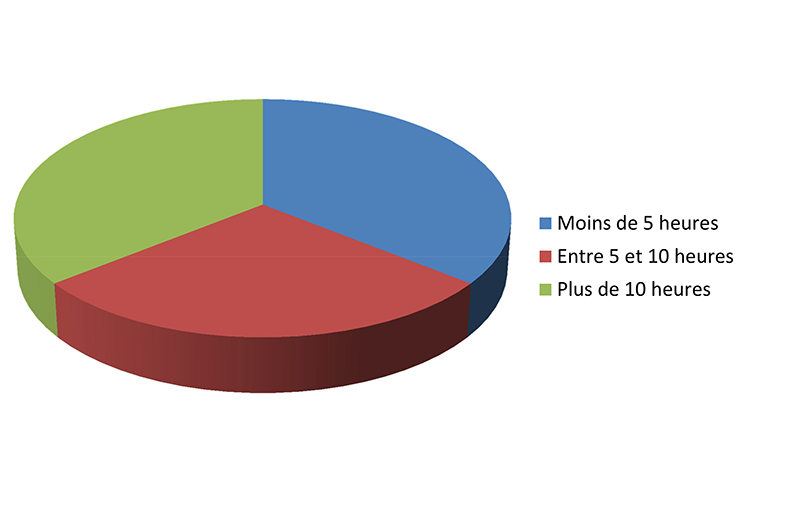 Quel a été le temps de préparation à l'évaluation de la 4ème COMPÉTENCE / ANIMATION ?