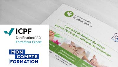 mockup brochure