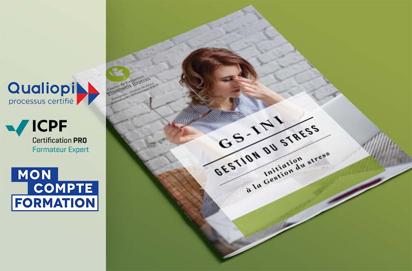 Formation à la Prévention et à la Gestion du stress - Initiation