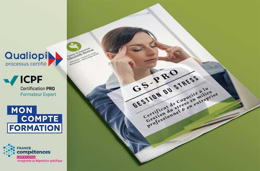Formation à la Prévention et à la Gestion du stress en milieu professionnel