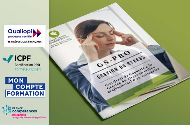Gestion du stress en milieu professionnel et en entreprise