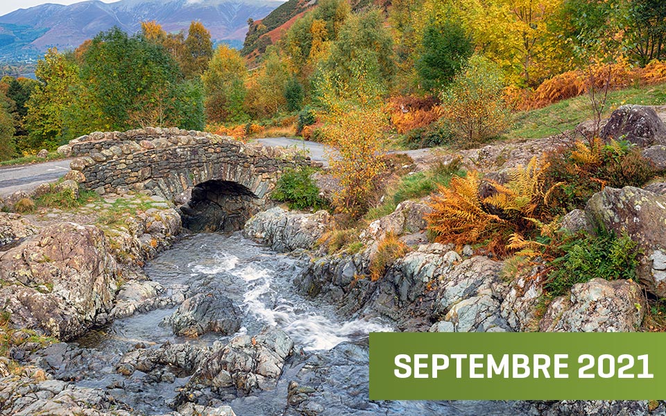 pont sur une rivière