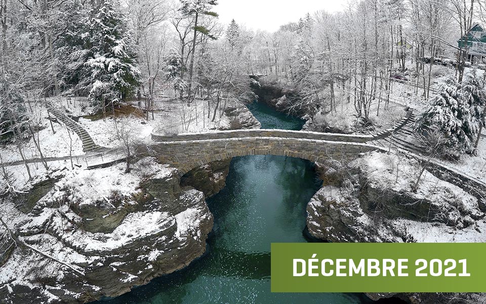 pont sous la neige