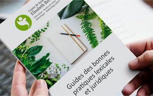 mockup brochure