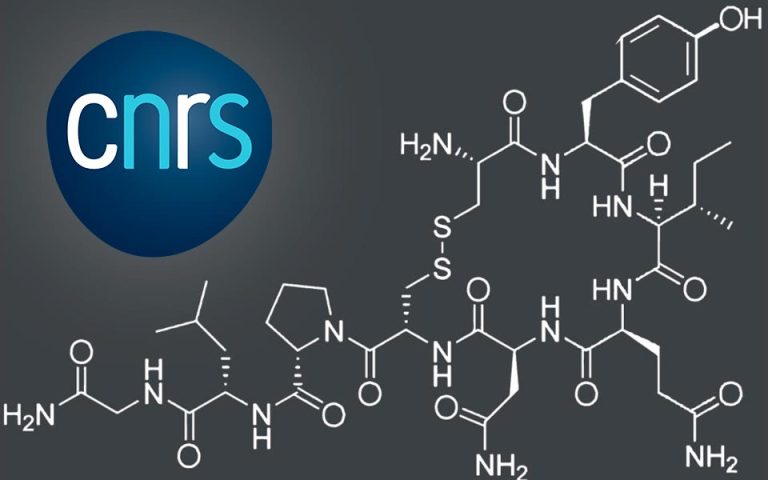 Comment l’ocytocine apaise nos douleurs