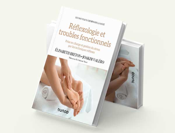 mockup livre