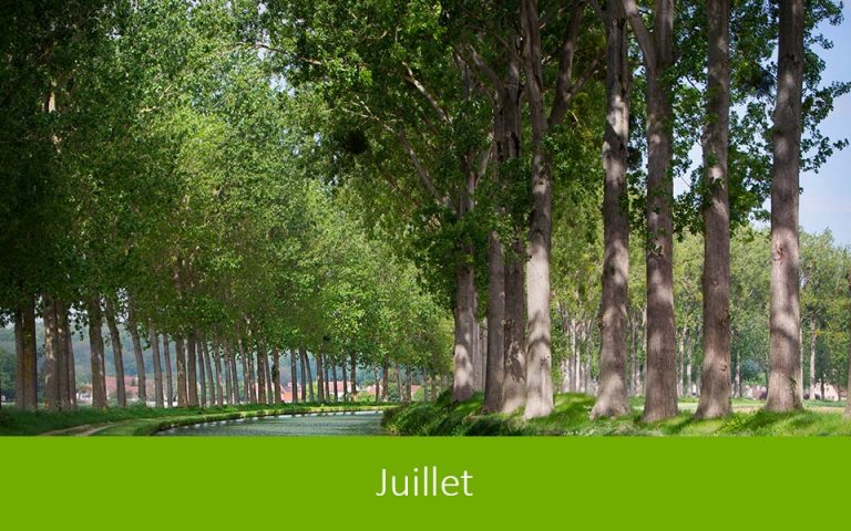 Lettre d’information juillet 2023