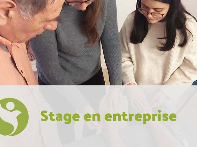 Stage découverte au sein du Centre de formation