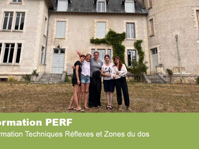 Formation Techniques Réflexes et Zones du dos