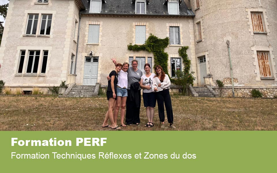 Formation Techniques Réflexes et Zones du dos