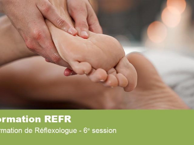 Formation de Réflexologue – 6e session