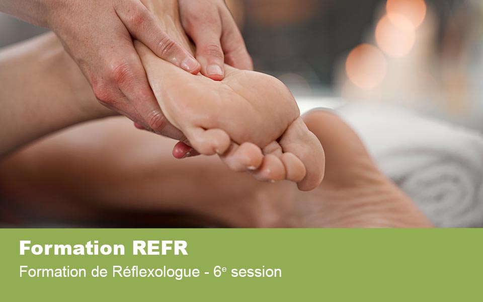 Formation de Réflexologue – 6e session