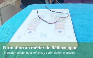 Formation au métier de Réflexologue