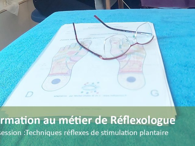 Formation au métier de Réflexologue